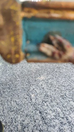 Finalizada, entregue ao cliente