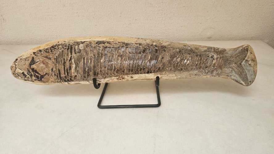 Finalizada, entregue ao cliente