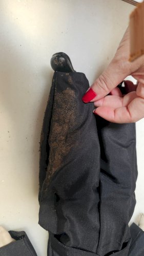 Aguardando Restauração