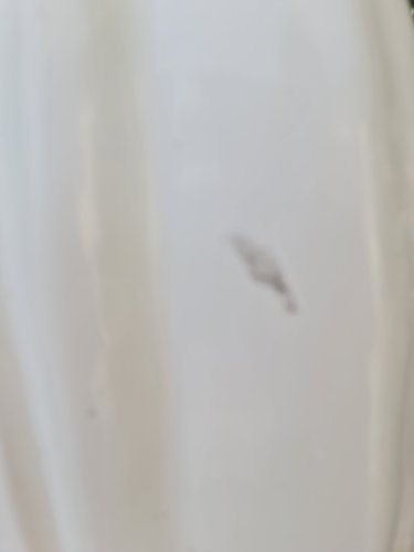 Finalizada, entregue ao cliente