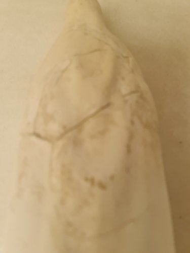 Aguardando aprovação do Orçamento