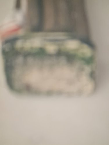 Aguardando aprovação do orçamento