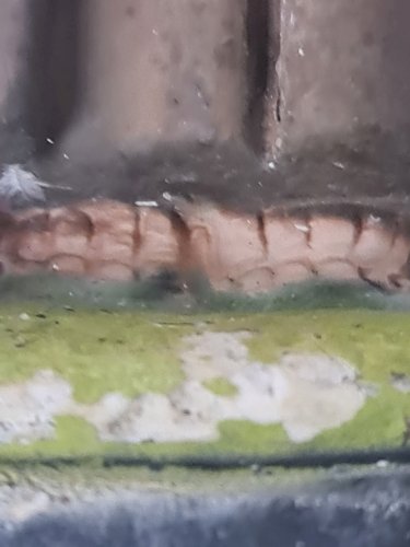 Aguardando aprovação do orçamento